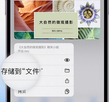 乌兰察布apple维修中心分享iPhone文件应用中存储和找到下载文件