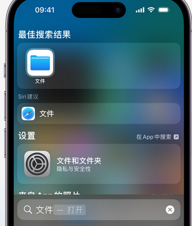 乌兰察布apple维修中心分享iPhone文件应用中存储和找到下载文件