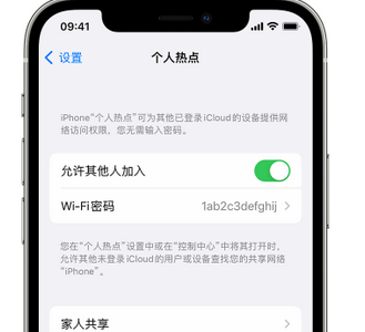 乌兰察布apple服务站点分享iPhone上个人热点丢失了怎么办