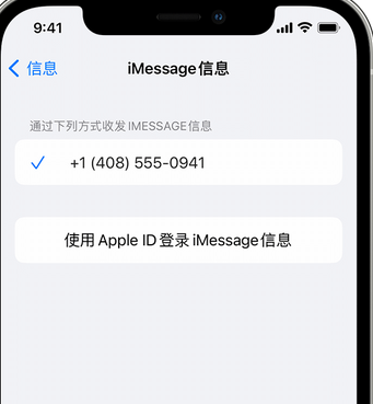 乌兰察布apple维修iPhone上无法正常发送iMessage信息 