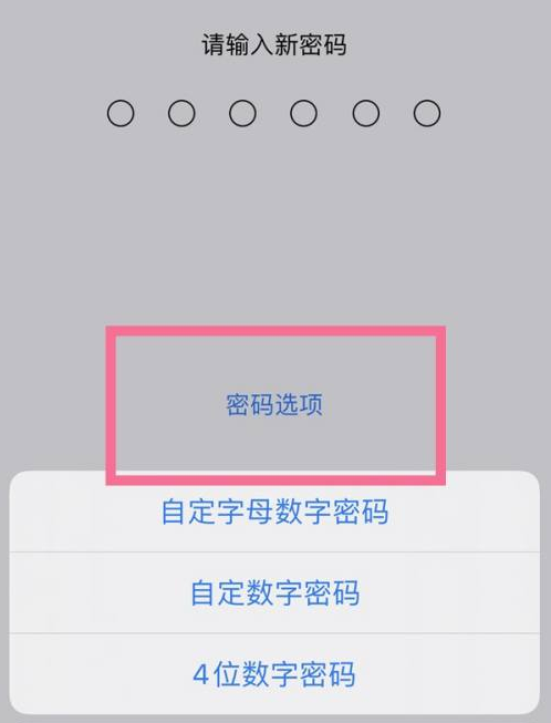 乌兰察布苹果14维修分享iPhone 14plus设置密码的方法 